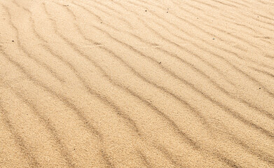 Fototapeta na wymiar Sandy waves, beach, bright background