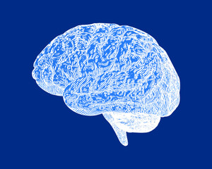 Engraving white brain illustration isolated on blue BG