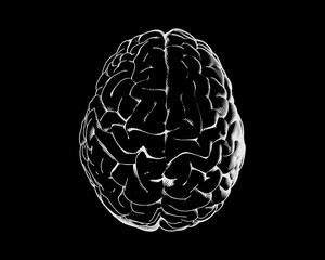 Engraving top view brain illustration on dark BG