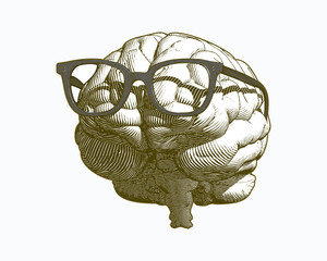 Engraving brain with glasses illustration on white BG