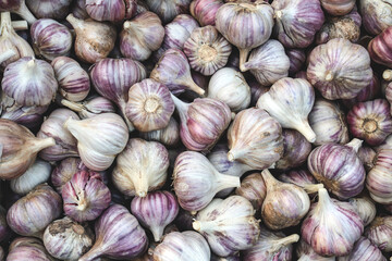 Garlic background. Food background with a lot of raw garlic. Selective focus, close-up, top view. Harvest concept