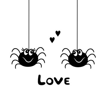 Hanging spiders in love. Black and white.