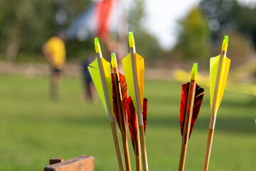 Background with colorful arrows. Archery sport concept