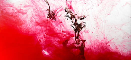 Closeup of a red and black ink in water in motion isolated on white. Ink swirling underwater. Colored abstract smoke explosion effect. Abstract background with copy space..