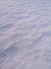 Snow in the rays of the sunset as a background.