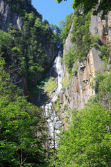 Fototapeta premium 銀河の滝