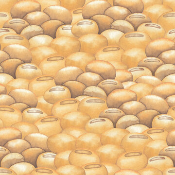 Watetcrolor repeated seamless pattern of soy beans