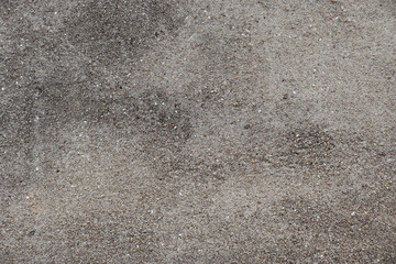 fungus on the old cement wall. Concept dirty cement wall