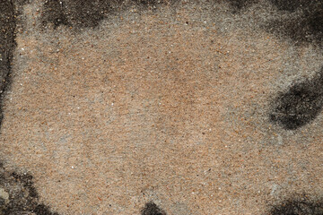 fungus on the old cement wall. Concept dirty cement wall