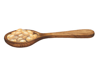 Watercolor wooden spoon with soy beans isolated on the white background
