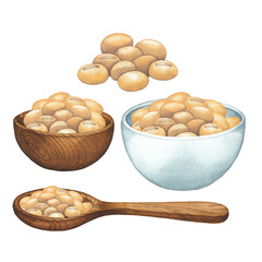 Watercolor wooden spoon, bowls and handful of soybeans.