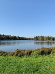 Reflection of the trees on the lake, quiet atmosphere 