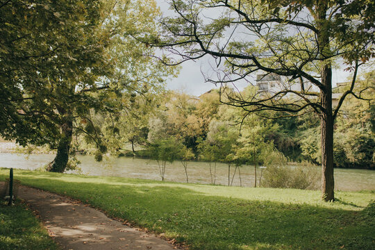 spring in the park
