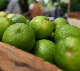 Citrons vert du marché