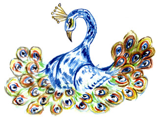 Fototapeta premium Cartoon peacock art