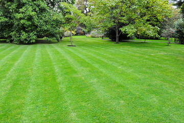 garden lawn