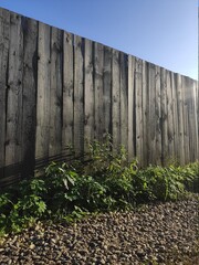 Fototapeta premium wooden fence