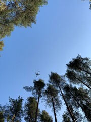air plane in the blue sky and tree tops