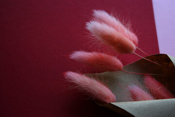 Pink bunny tail grass in brown parchment on the vivid red background