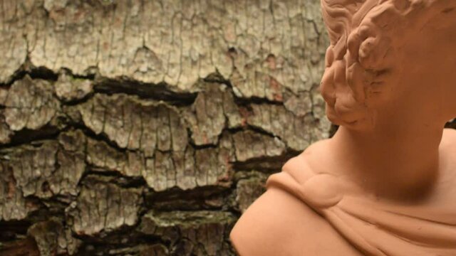 Busto antico ft0209_0147  Ancient bust