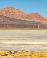 Brava Lagoon Landscape, La Rioja, Argentina