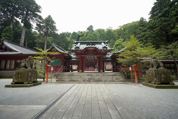 Fototapeta premium 箱根神社