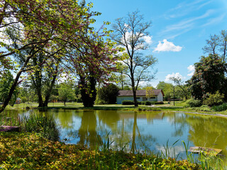 Fototapeta na wymiar Bad Bellingen im Markgräflerland (Bade-Wurtemberg) - Magnifique bassin avec jet d'eau et aménagements aquatiques et floral au centre du parc des thermes