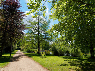 Fototapeta na wymiar Bad Bellingen im Markgräflerland (Bade-Wurtemberg) - Sentier de promenade, square et détente dans le parc au milieu de splendides parterres floraux entourés de hauts arbres sous un ciel bleu