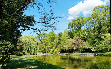 Bad Bellingen im Markgräflerland (Bade-Wurtemberg) - Magnifique bassin avec jet d'eau et aménagements aquatiques et floral au centre du parc des thermes