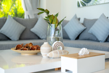 interior design living room with Plant pot and sofa