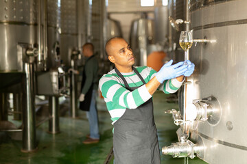 Professional hispanic winemaker holding glass of white wine, checking its quality and color at winery..