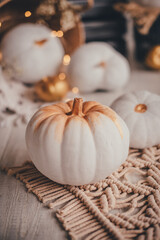 pumpkin still life