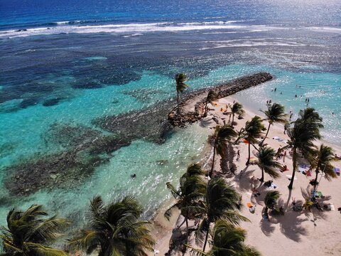 Guadeloupe Coral Reef - Aerial Drone View