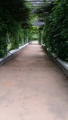 순천 국가정원 산책길