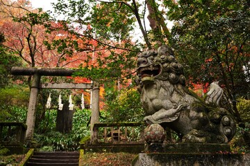 Guardian sacred dog of god at the entrance of Ontake Jinja Shrine at Chichibu, Saitama, Japan. There is Torii, gate of shrine and stairs in mountain.