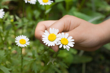子供の手と野花