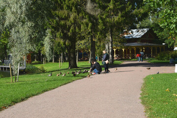 people walking in park