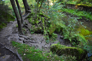 Fototapeta premium Elbsandsteingebirge