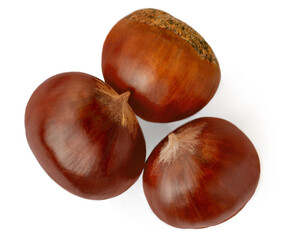 Horse chestnuts (Aesculus) fruits isolated on white background. Sweet chestnuts for Christmas Top view. Flat lay
