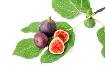 Fresh Figs on the branch with leaves  isolated on white background.  Fig tree.Top view. Flat lay © nataliazakharova