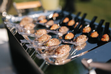 Portioned tartare of beef and samlon. Snack outdoors in sunset
