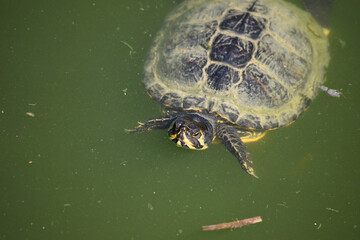 Zoo Dvůr Králové