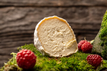 Camembert or brie cheese with raspberries, Gourmet Italian, French cheese, The concept of natural eco food, catering, banner, menu, recipe