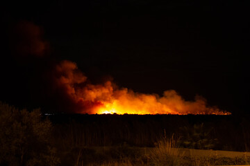 Fototapeta na wymiar Wildfire at night with large amounts of smoke and large expanse. Ecological disaster concept
