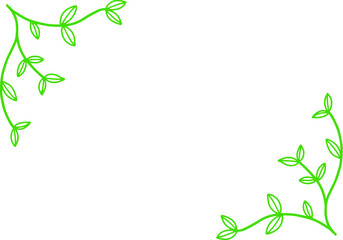 Frame from various leaves on a white background with space Green floral background