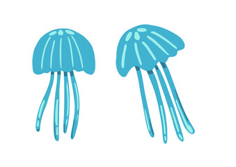 sea jellyfish Marine animals ocean life