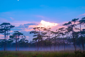 Sunrise landscape mountainsat Phu Soi Dao National Park in Thailand.