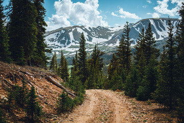 Colorado trail among the pine tree forest. Hiking and off road trail near the mountains. Summer outdoor activities. - obrazy, fototapety, plakaty