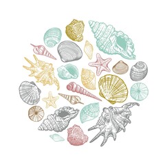 Sea shell round pattern. Hand drawn colorful shells by circle. Vector illustration for your design 