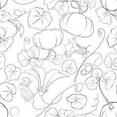 Pattern of Esolited Elements of pumpkin leaves and flowers on white background 